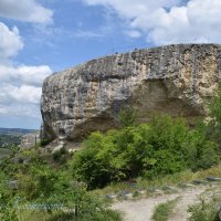 Природа Крыма :: Amazing Cosmea