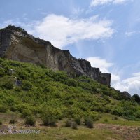 Природа Крыма :: Amazing Cosmea Природа Крыма :: Amazing Cosmea