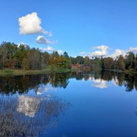 Река Оредеж. :: Лия ☼