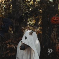 *** :: Ирина Голомако