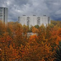 Неудержимая осень :: Владимир Кроливец Неудержимая осень :: Владимир Кроливец