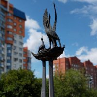 Аисты :: Радмир Арсеньев