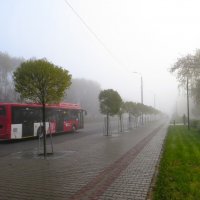 *** :: Лариса С. *** :: Лариса С.