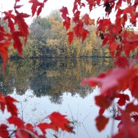 Коломенское 8 октября :: Михаил Бибичков Коломенское 8 октября :: Михаил Бибичков