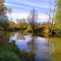 ... :: Вячеслав Минаев