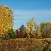 Осенний этюд :: Валентин Котляров