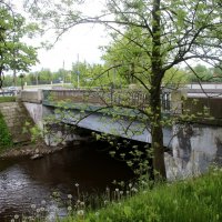 Стрельна. Орловский мост :: Наталья Герасимова