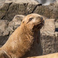 ... :: Жора Житников ... :: Жора Житников