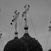 Птицы на крестах церкви :: Мария Яковлева