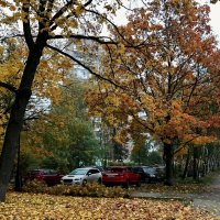 В городе осень… :: Любовь 