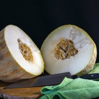 Дыня :: Aleksey Afonin