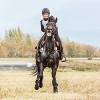 Кросс :: SanSan 