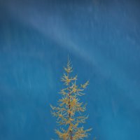 * :: Александр Иванов