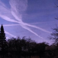 Перечёркнутое небо :: Людмила Смородинская