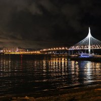 Питерские ночи :: Ольга 