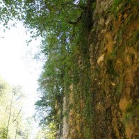 Гуамское ущелье :: Сергей Запорожцев