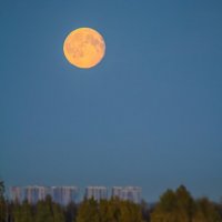 Лента под Луной :: Евгений Ермаков