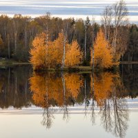 Осиновая Роща :: skijumper Иванов Осиновая Роща :: skijumper Иванов