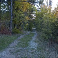 Природа  Крыма :: Валентин Семчишин