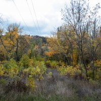 Осень  золотая :: Валентин Семчишин