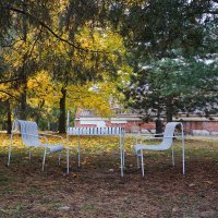 Уединение :: Лариса Корж