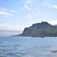 Природа Крыма :: Amazing Cosmea