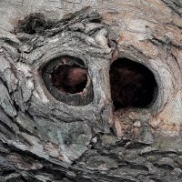 Посмотри мне в глаза :: Виктор Никитенко