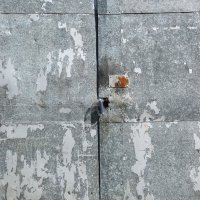 Фотография :: Денис Безногов