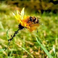 Октябрь :: Михаил Столяров