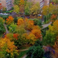 ..разноцветие осени в моём дворе.. :: galalog galalog