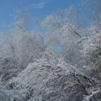 Зима :: Anna Ivanova