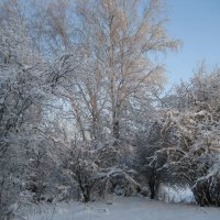 Зима :: Anna Ivanova Зима :: Anna Ivanova