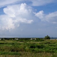 Летние облака. :: сергей ермошкин