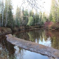 Речка Пыжина :: Сергей Никифоров Речка Пыжина :: Сергей Никифоров