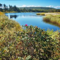 Безымянное озерцо. :: fillarret-2