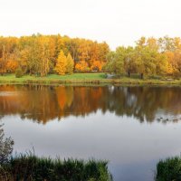 . :: РИТА ЛЕВКОВА