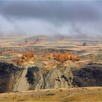 Суровые просторы осеннего Алтая.. :: Алексей Мезенцев