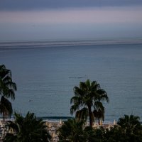 Море утром :: Светлана SvetNika17