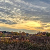 Настоящая осень. :: Oleg S 