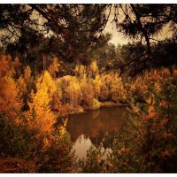 *** :: someone somewere