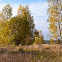 Осень :: Александр 
