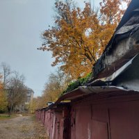 из зелени остался только мох. :: Артём 