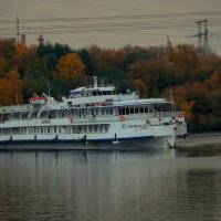 Выплывает! :: Татьяна Помогалова Выплывает! :: Татьяна Помогалова