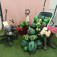 Осенний уголок :: Veera V