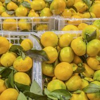 Пахнет Новым Годом :: Валерий Иванович