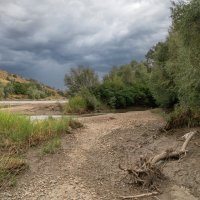 Стихает река к Осени :: Игорь Сикорский