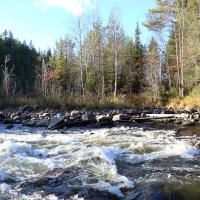 Осень на Колвице :: Ольга 