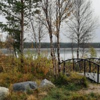 Осенний мостик :: Ольга 