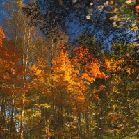 *** :: Сергей Григорьев