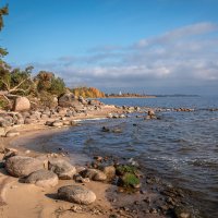 **** :: Елизавета .